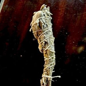 Sage smudge stick organic 10" x 3"